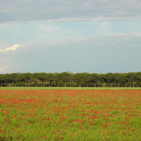 Appartamenti Alaska Bibione Esterno foto