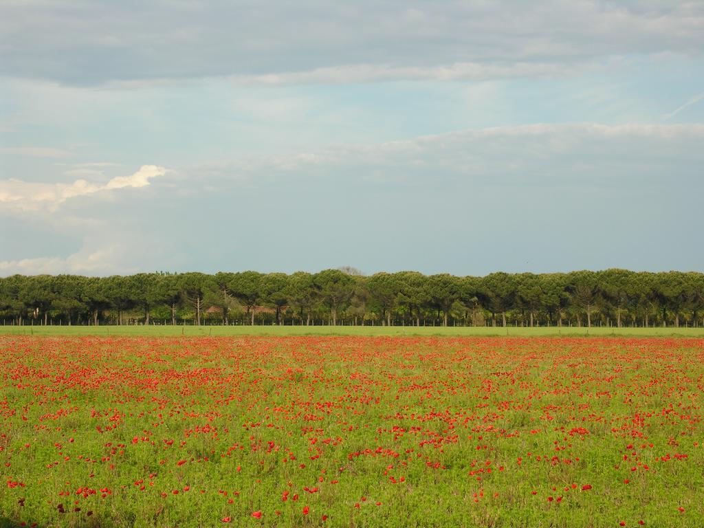Appartamenti Alaska Bibione Esterno foto